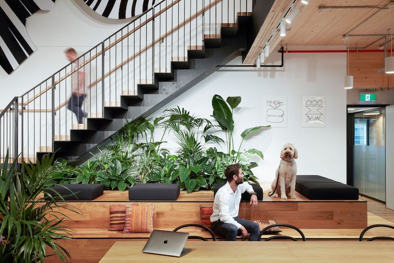 WeWork office space, 25 King St, Brisbane City, QLD 